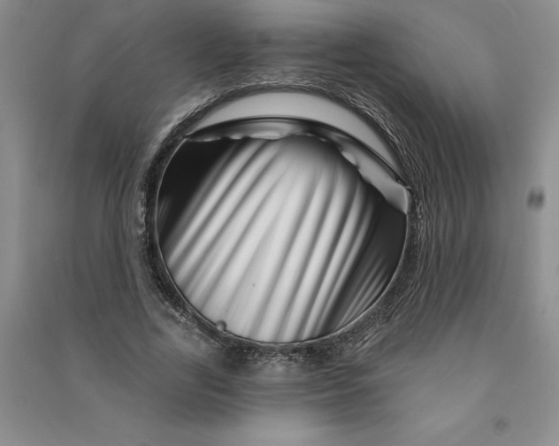 X0000090870731200708171625