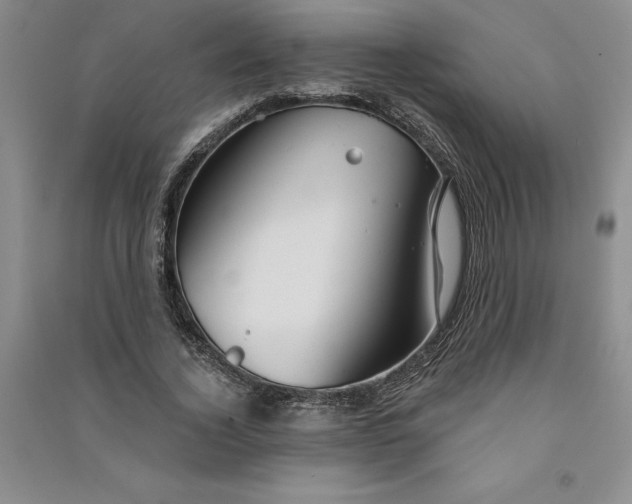 X0000090870732200708171625