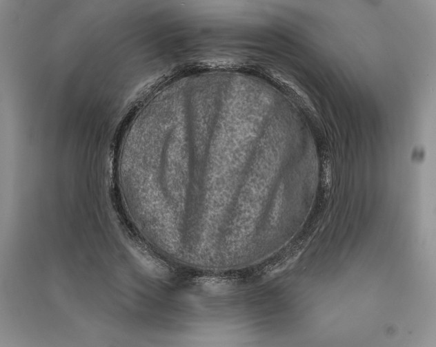 X0000090870733200708171625