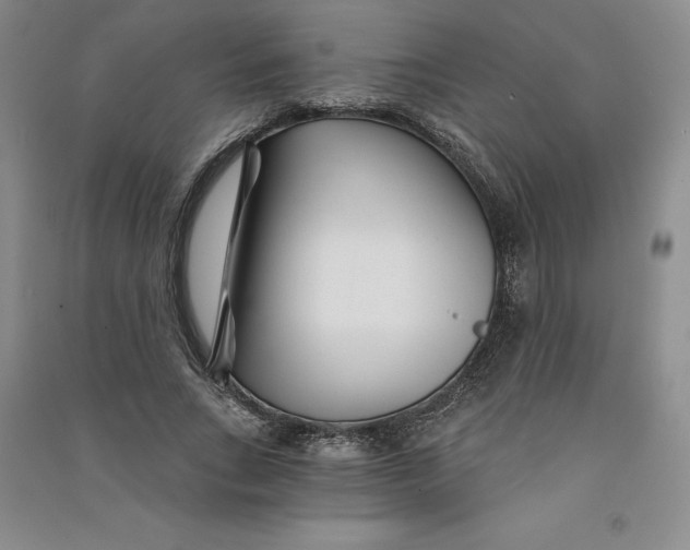 X0000090870735200708171625