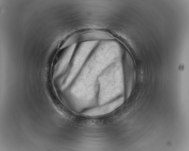 X0000090870736200708171625