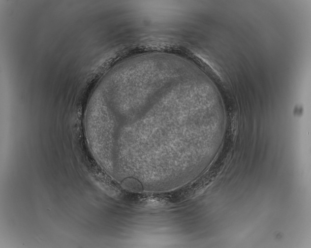 X0000090870737200708171625