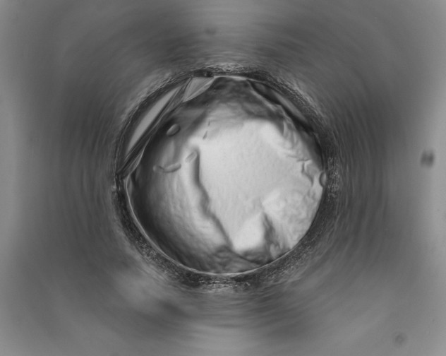 X0000090870738200708171625