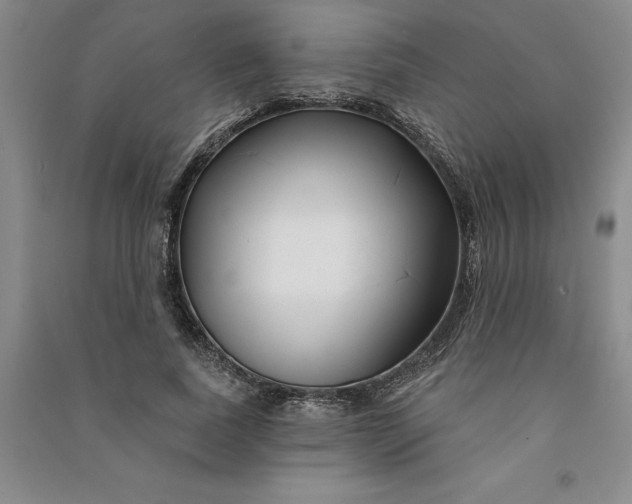 X0000090870739200708171625