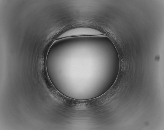 X0000090870740200708171625