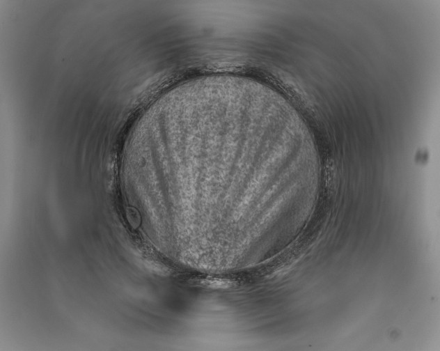 X0000090870741200708171625