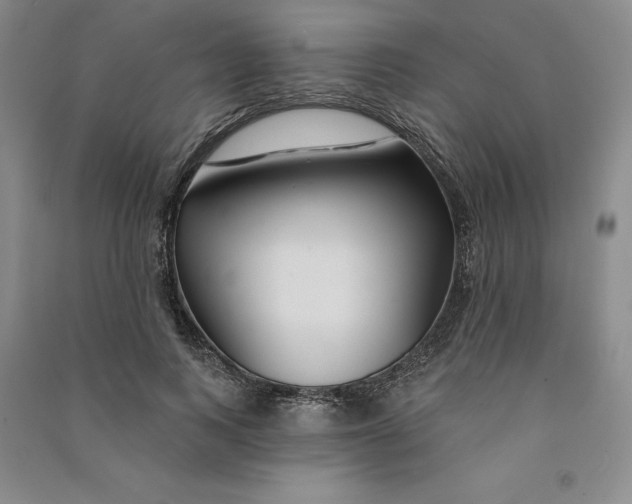 X0000090870743200708171625