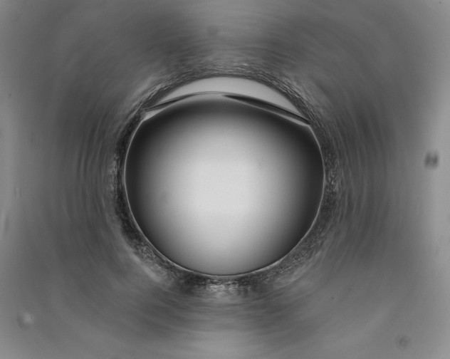 X0000090870744200708171625