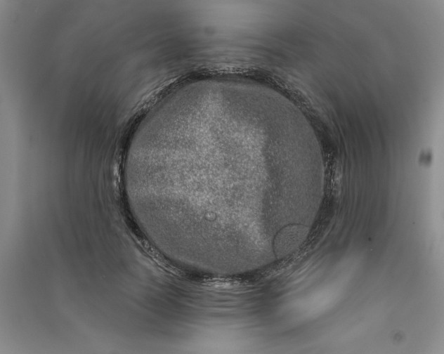 X0000090870746200708171625