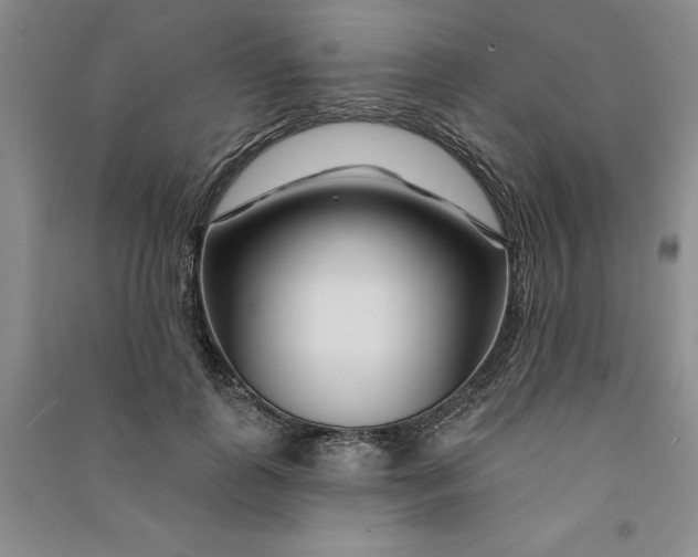 X0000090870747200708171625