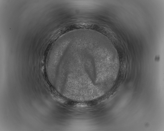 X0000090870749200708171625