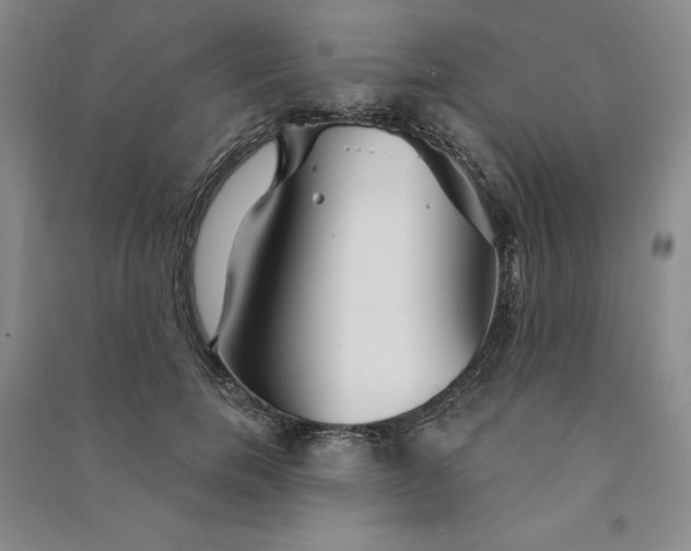 X0000090870750200708171625