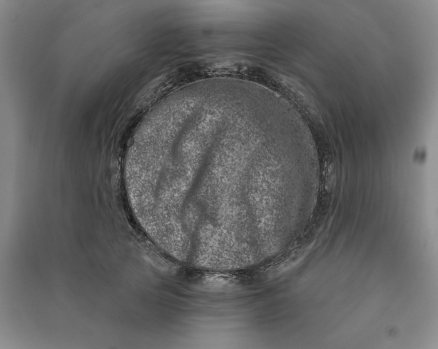 X0000090870753200708171625