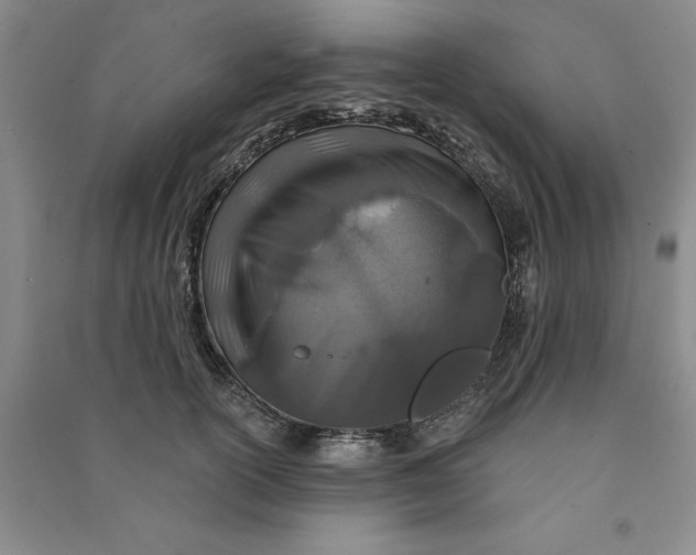 X0000090870754200708171625