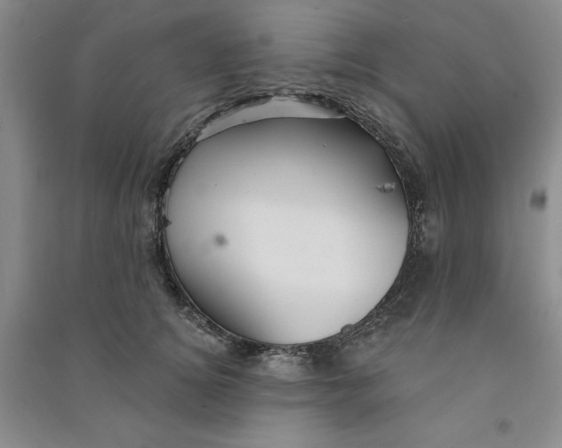 X0000090870756200708171625