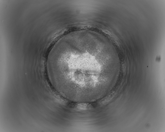 X0000090870757200708171625