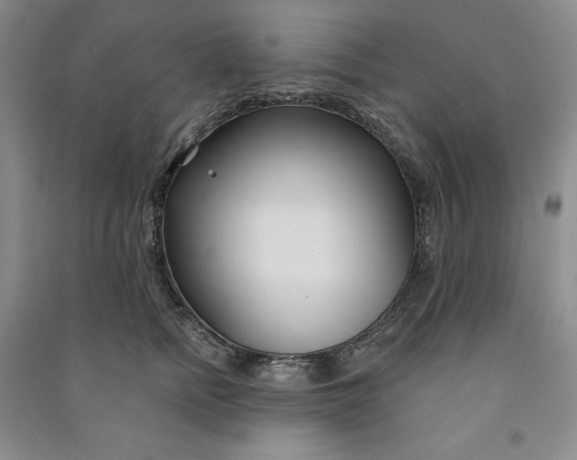 X0000090870758200708171625