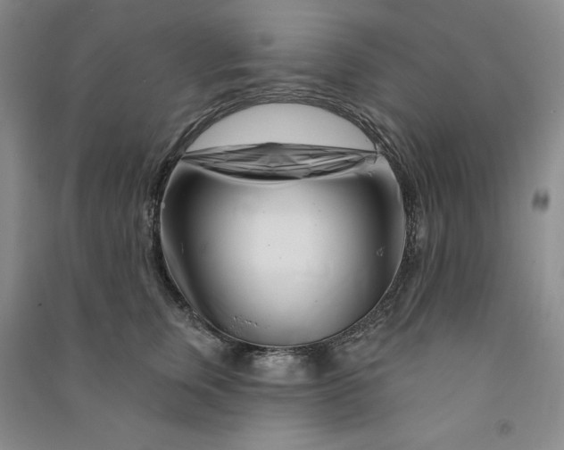 X0000090870759200708171625