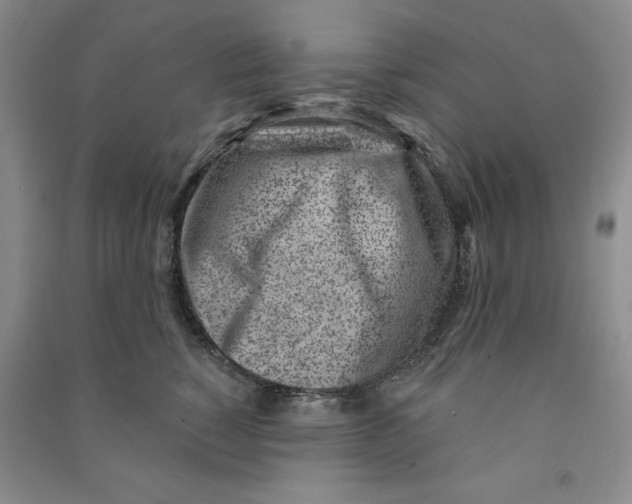 X0000090870760200708171625