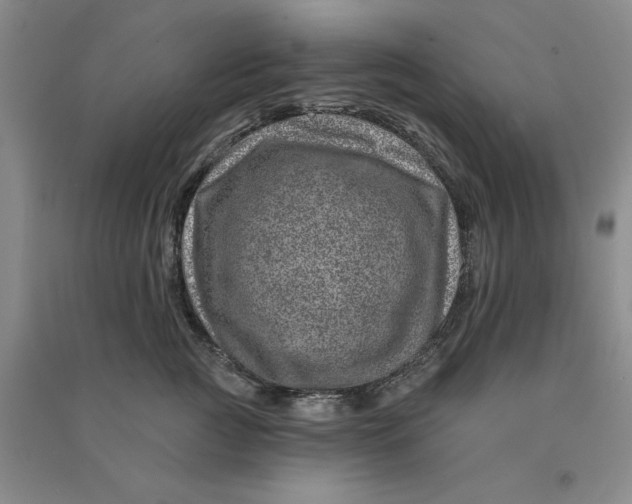 X0000090870761200708171625