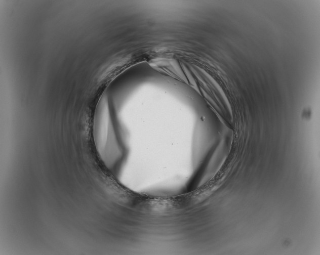 X0000090870762200708171625