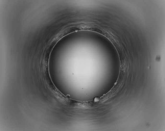 X0000090870763200708171625