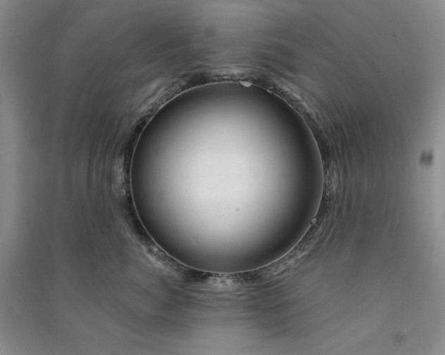 X0000090870764200708171625