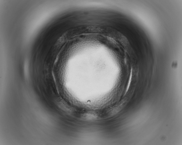 X0000090870765200708171625