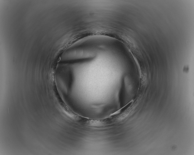 X0000090870766200708171625