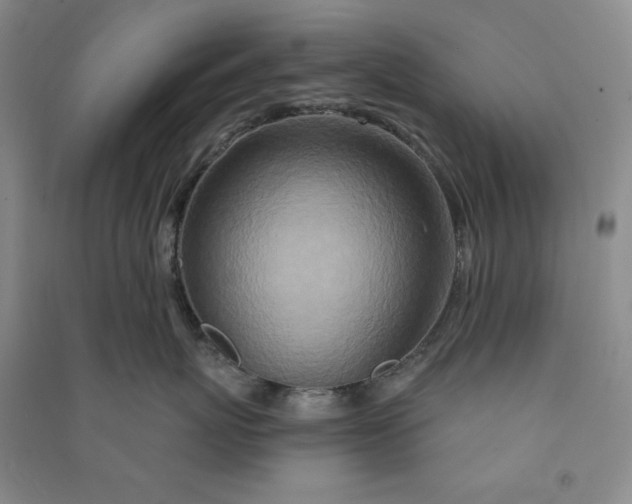 X0000090870767200708171625