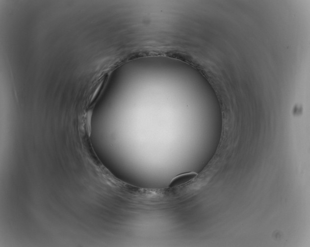 X0000090870768200708171625