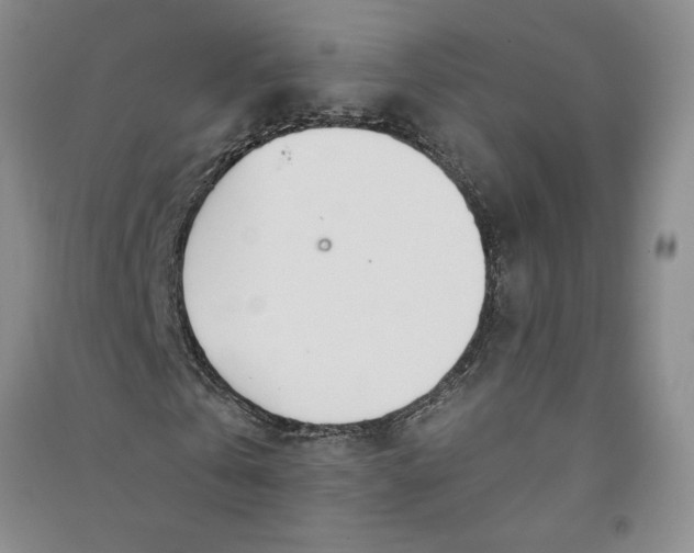 X0000090870769200708171624