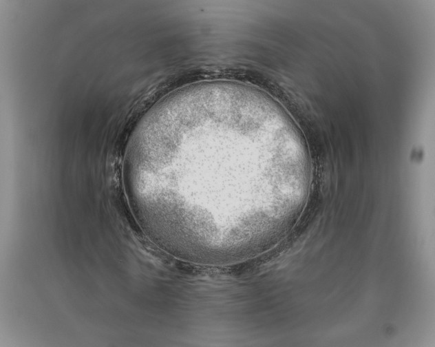 X0000090870770200708171624