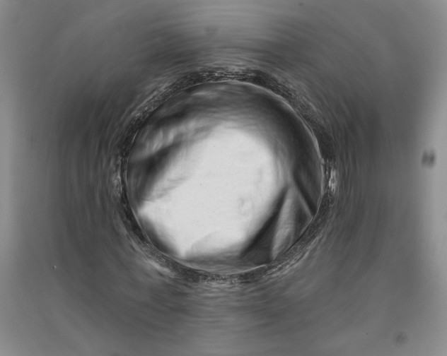 X0000090870771200708171624