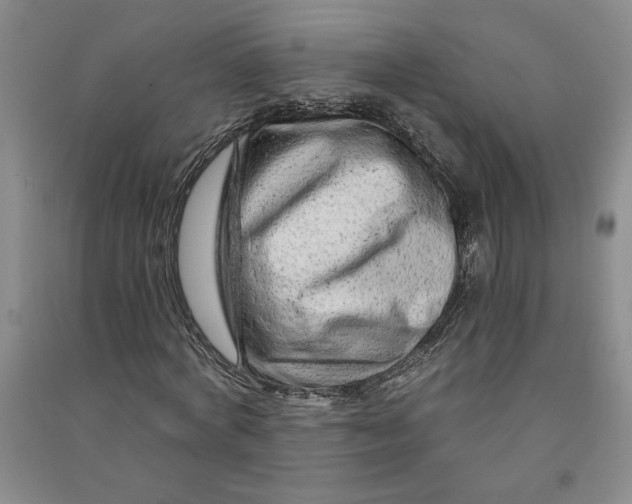 X0000090870772200708171624