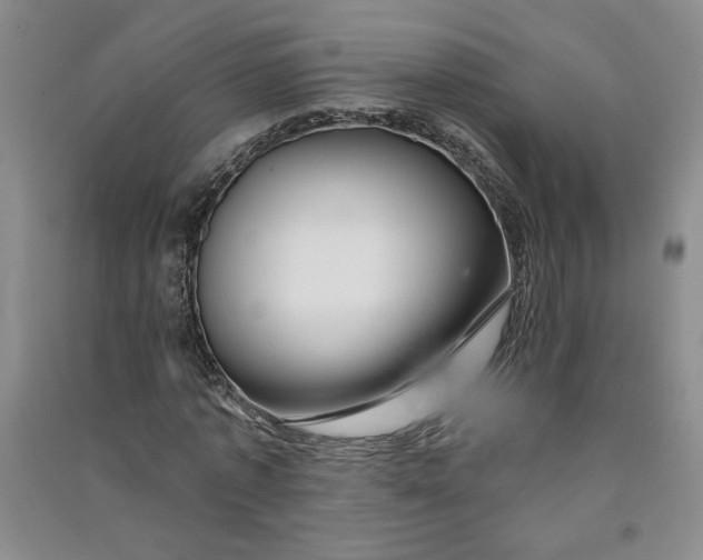 X0000090870773200708171624