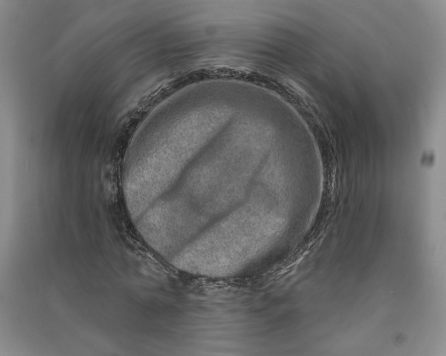 X0000090870774200708171624