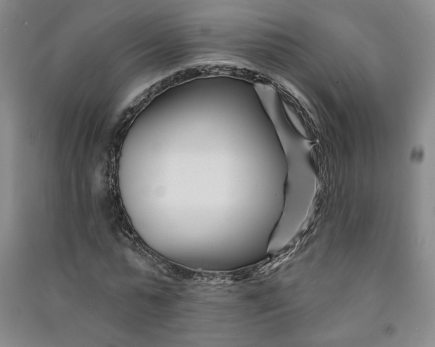 X0000090870775200708171624