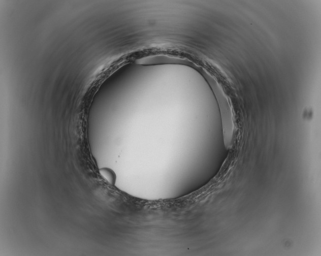 X0000090870776200708171624