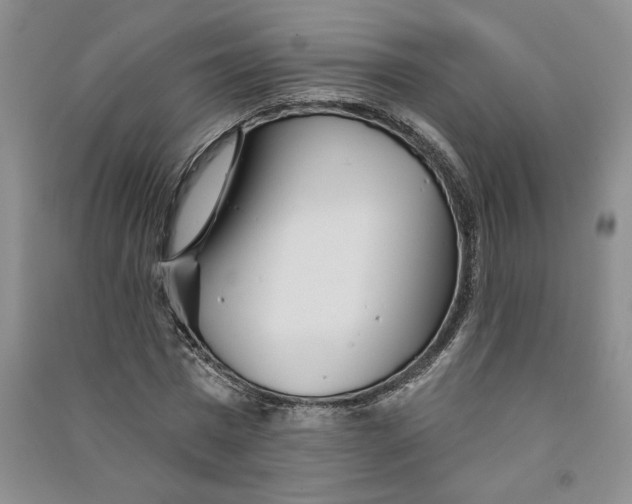 X0000090870777200708171624