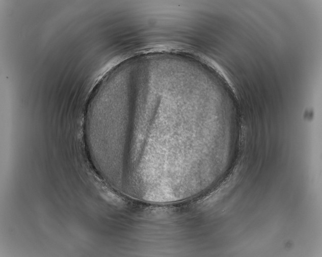 X0000090870778200708171624