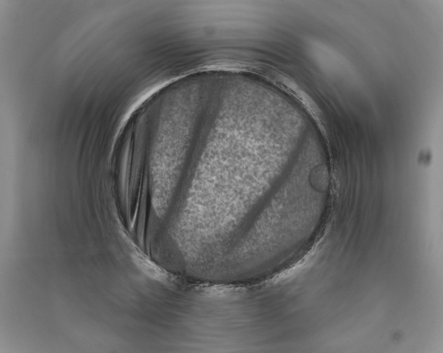 X0000090870779200708171624