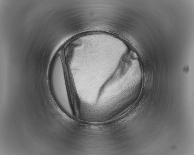 X0000090870780200708171624