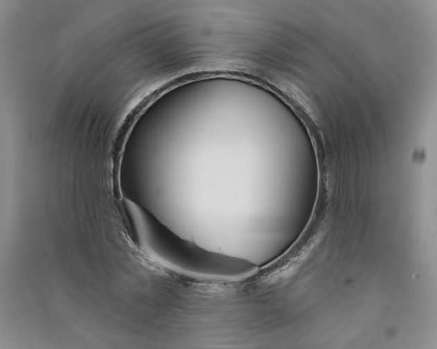 X0000090870781200708171624