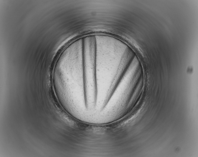 X0000090870782200708171624