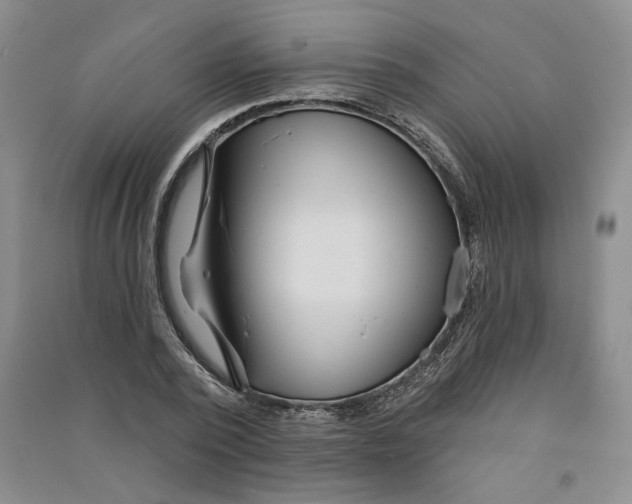 X0000090870784200708171624