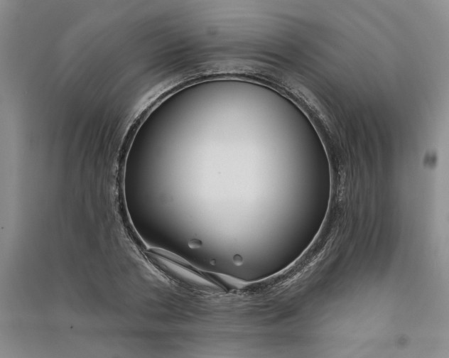 X0000090870786200708171624