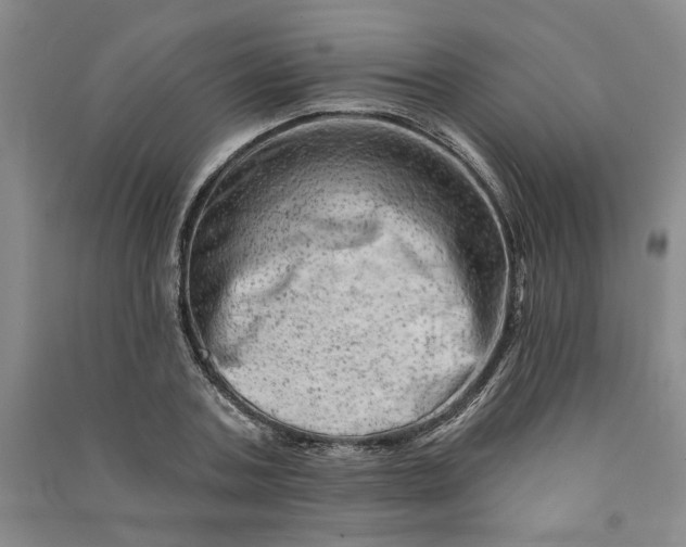 X0000090870787200708171624