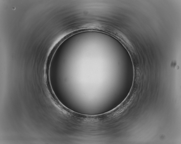 X0000090870788200708171624