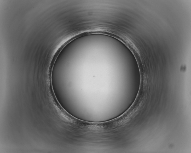 X0000090870789200708171624